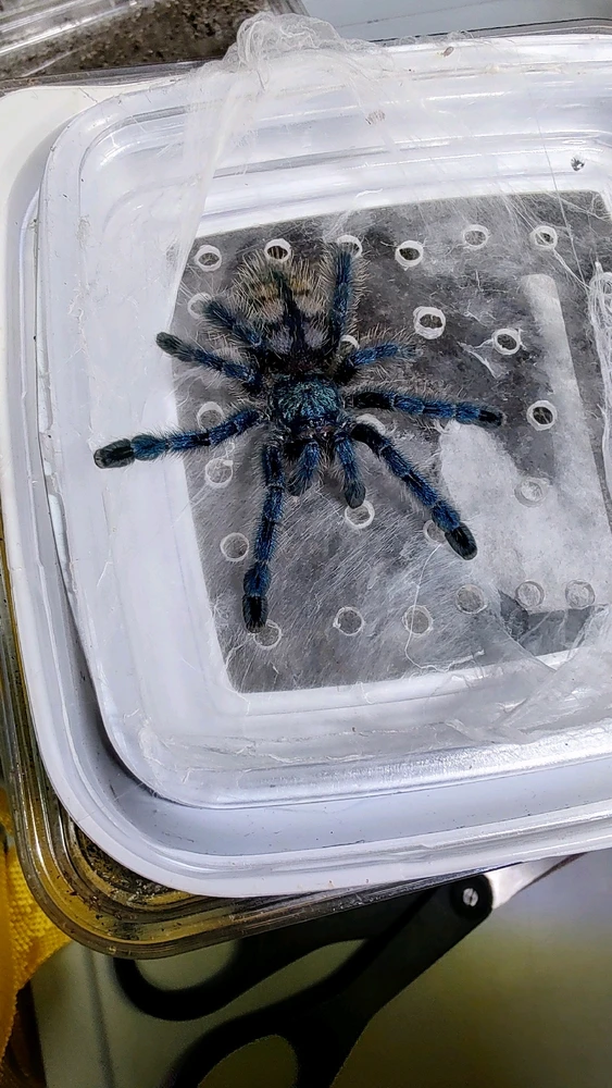 Image uploaded by Niko