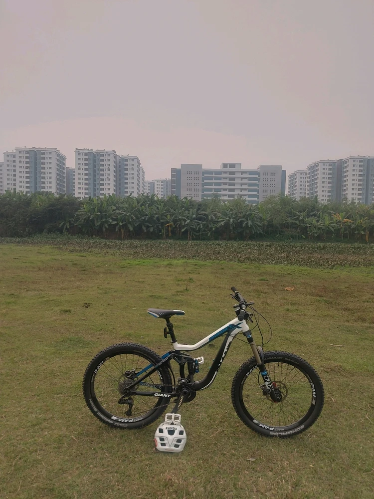 I-upload ni Panda ang larawan