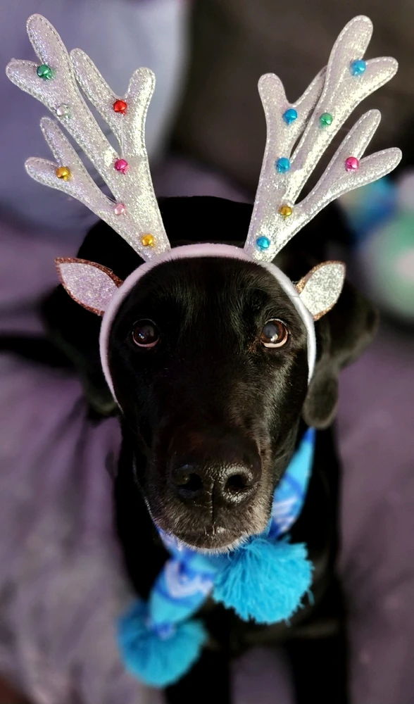 Image uploaded by Yaara