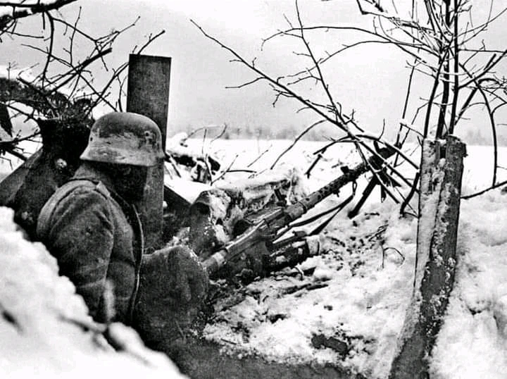 Image uploaded by Erik Thackrey