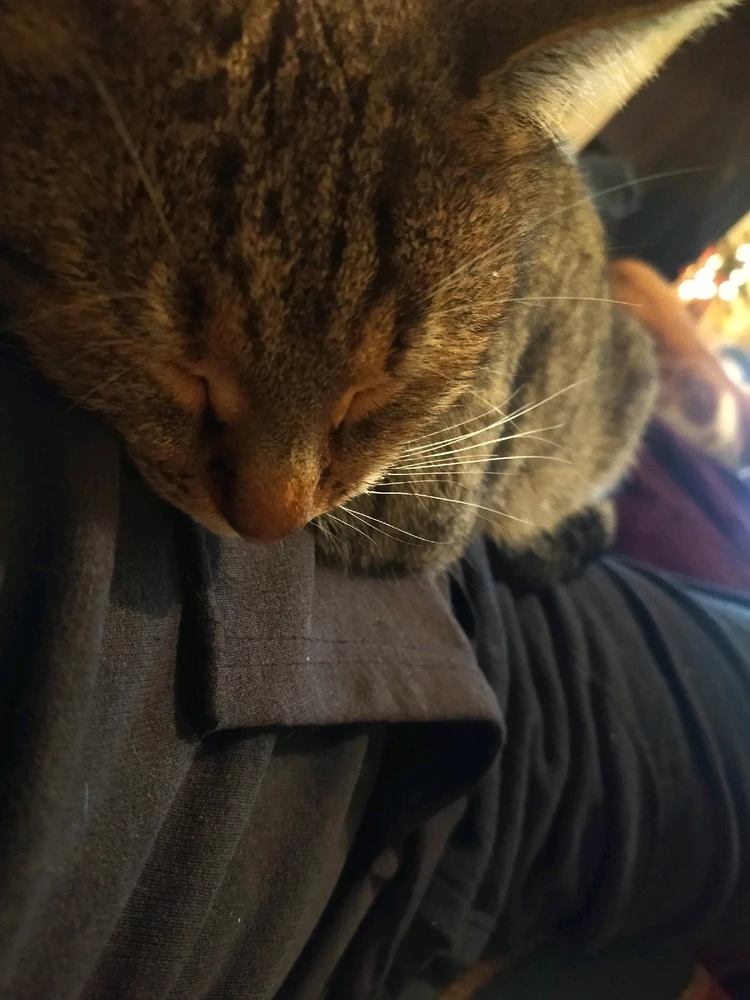 Εικόνα από Triantafyllos