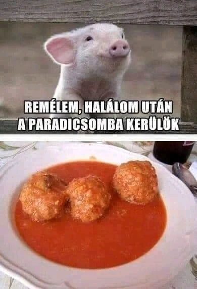 Tomi által feltöltött kép