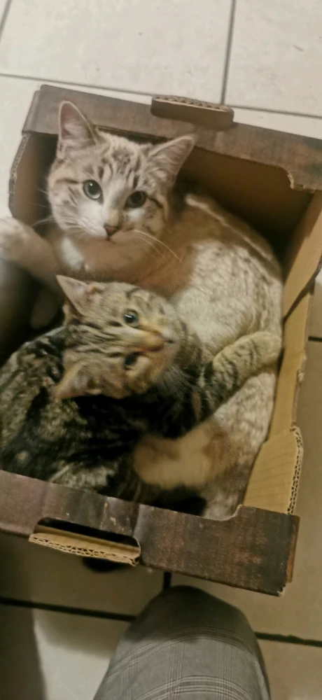 Image ajoutée par Tom