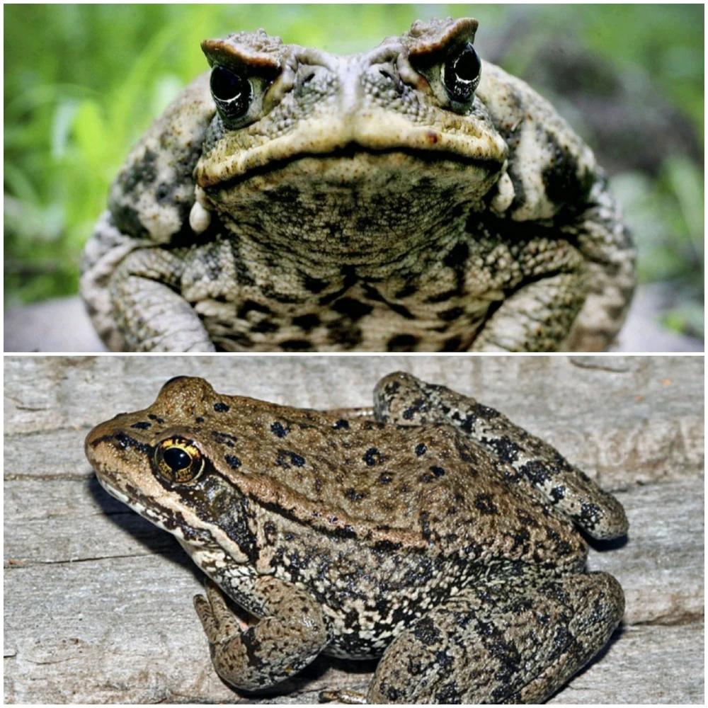 Image uploaded by Hanah