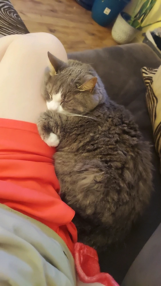 Image uploaded by Mark