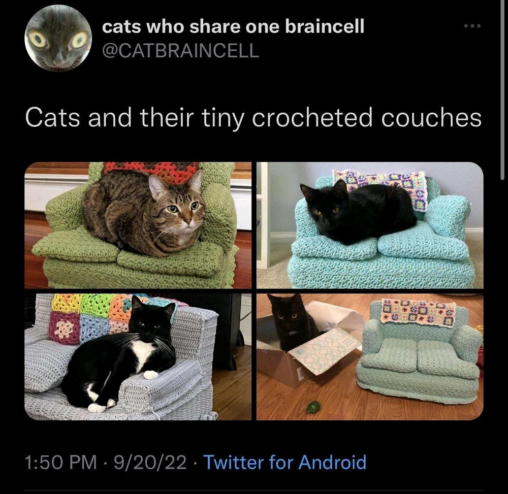 Image ajoutée par Martin