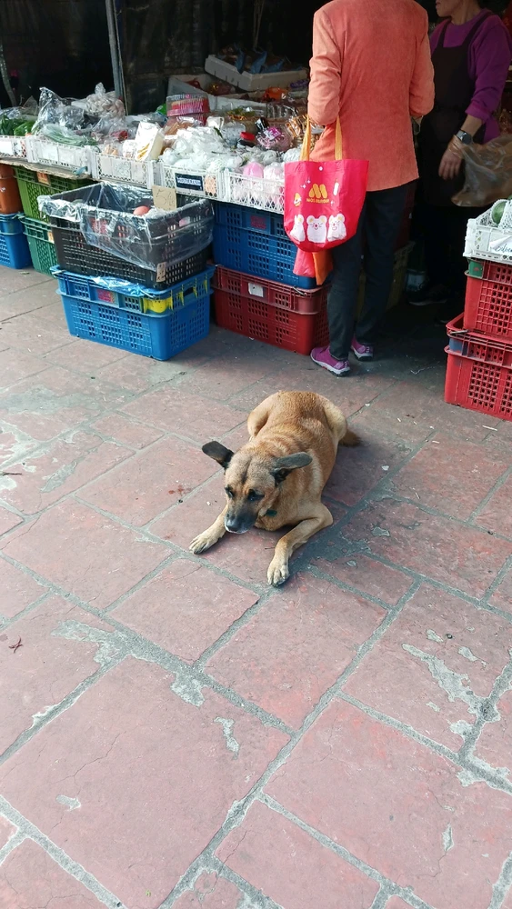 Image uploaded by Fen