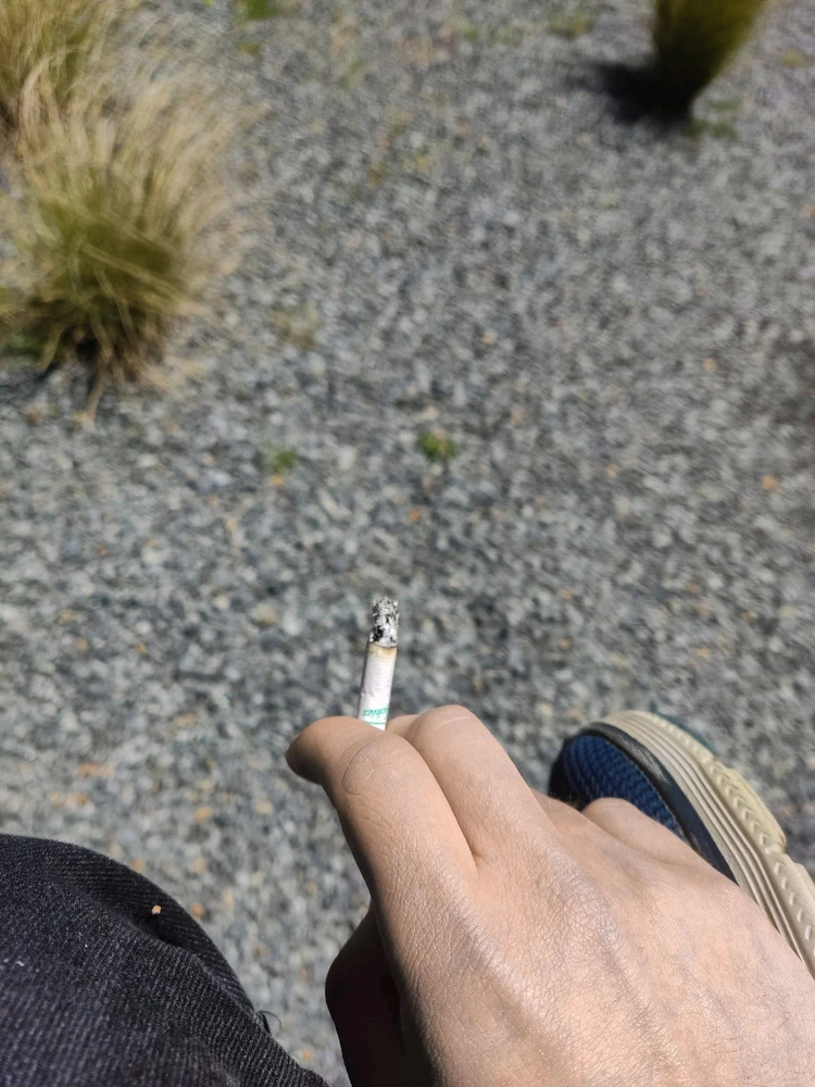 Imagen subida por Felipe