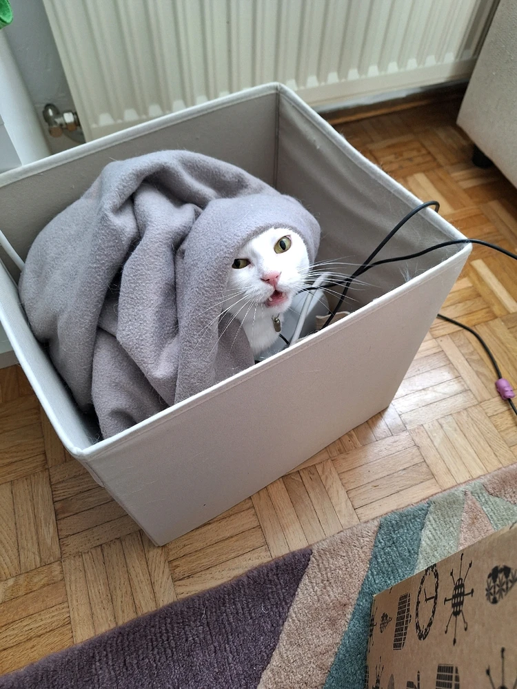 Bild hochgeladen von sarah