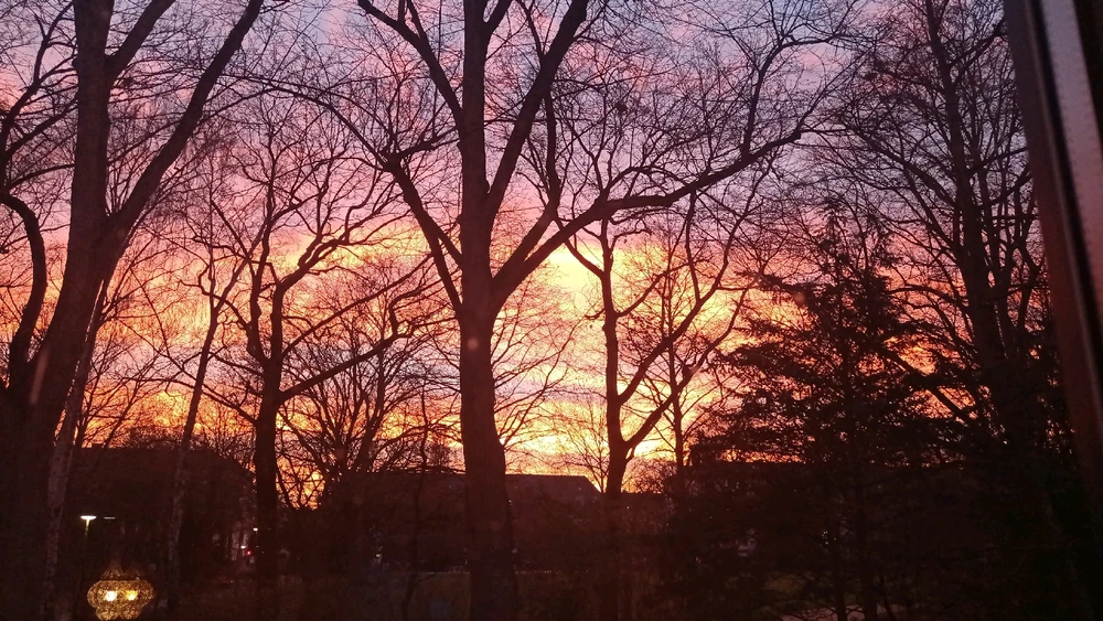 Bild hochgeladen von Jade