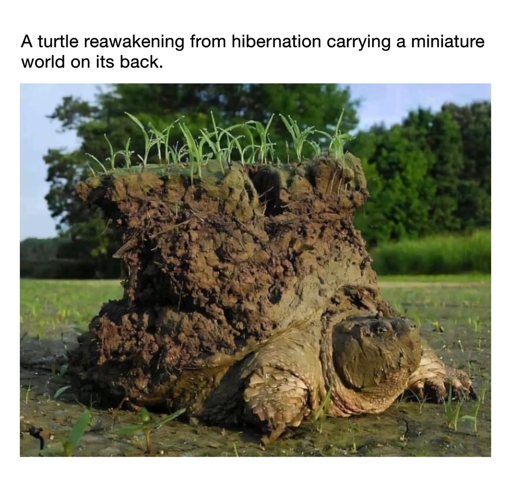 Image uploaded by Moondoggy