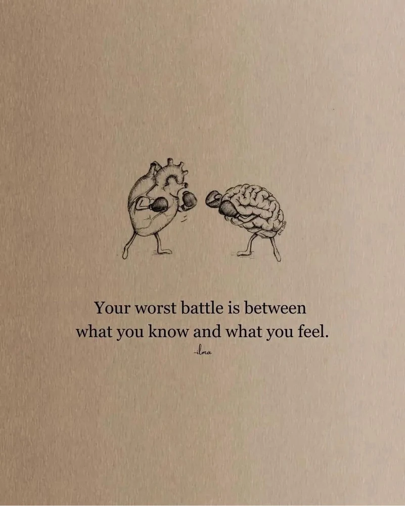 Image ajoutée par Ayoub