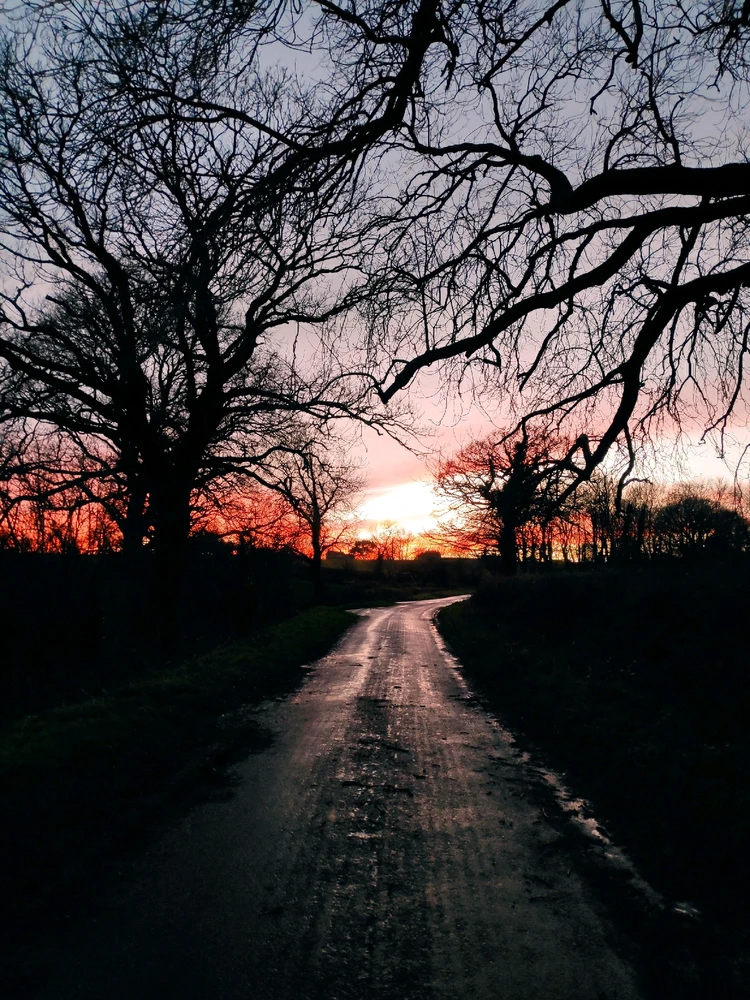 Image uploaded by Jools
