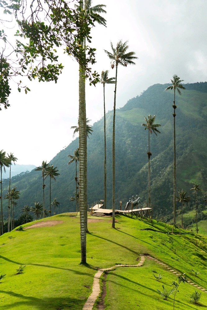 Imagen subida por Camilo