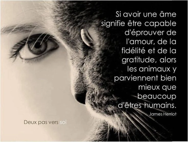 Image ajoutée par Cathy