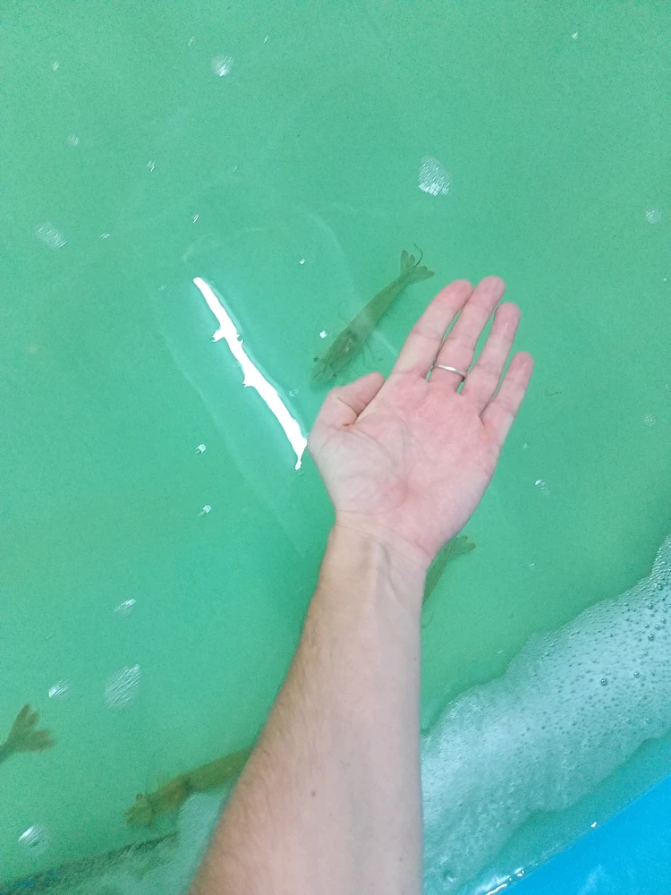 Фото загрузил Манекен