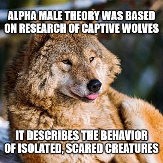 Image uploaded by Jessica