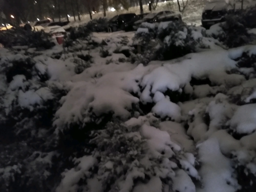 Zdjęcie dodane przez Anna