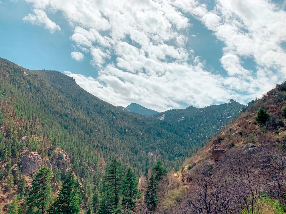Landscape of mountains , green trees on one side, more Rocky Mountain on the other , 