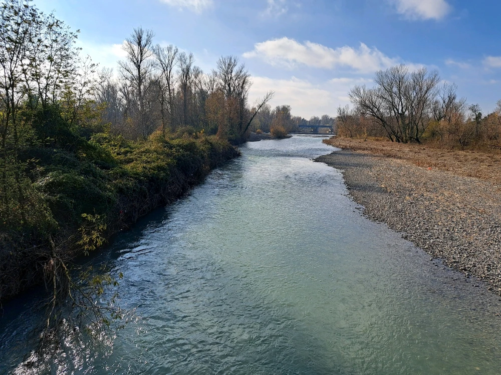 Immagine caricata da Roman