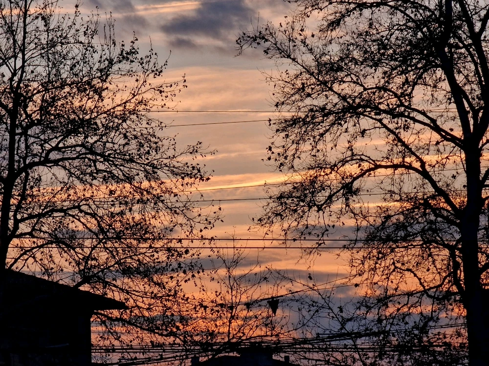 Immagine caricata da Gianmarco