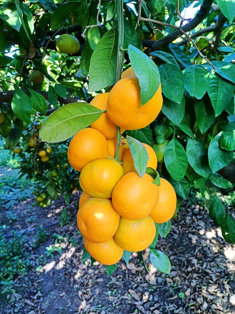 Image uploaded by Ahmet