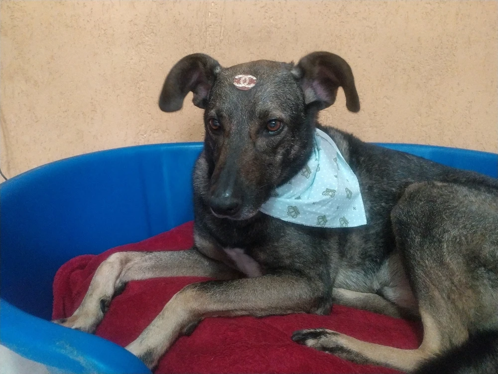 Imagem enviada por Lucas