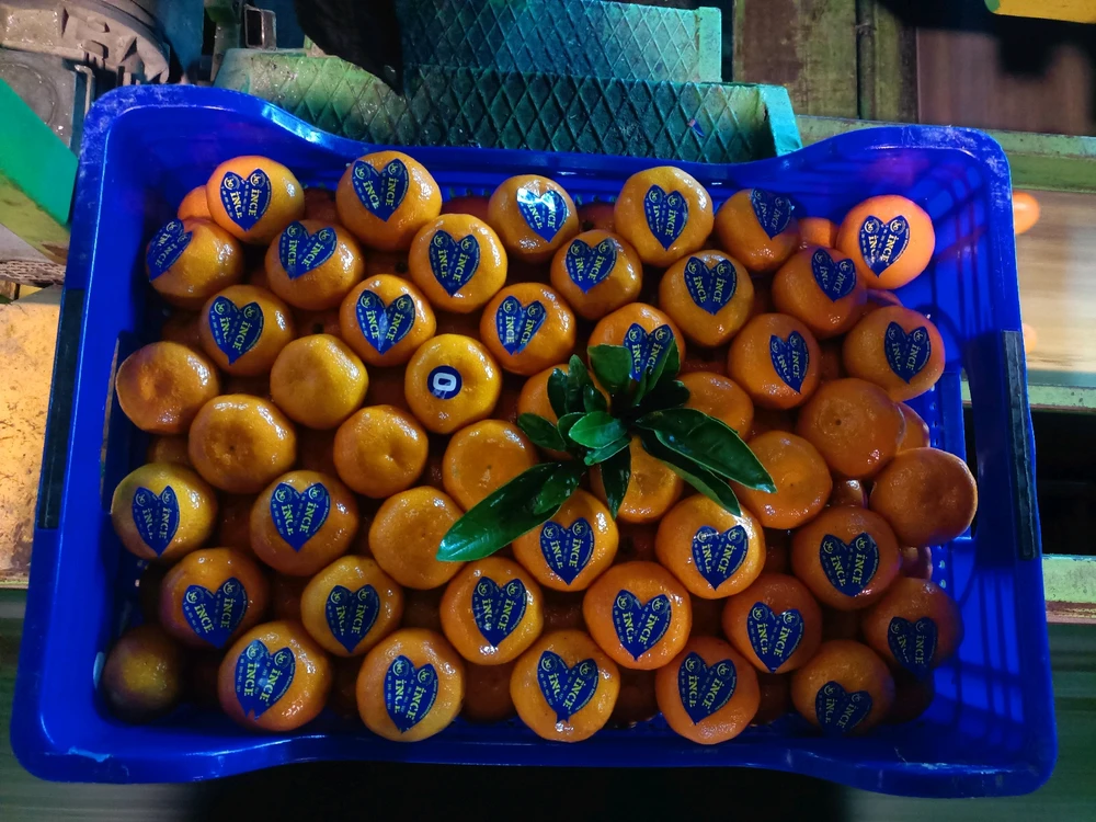 Image uploaded by Ahmet