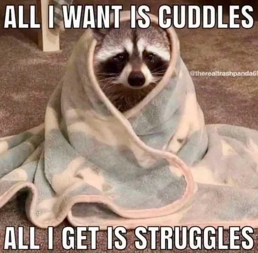 Image uploaded by Mademoiselle Amy