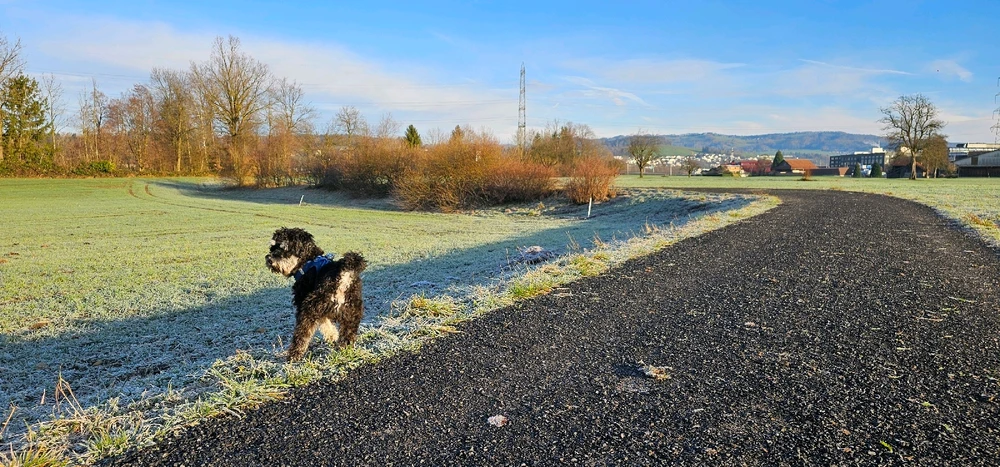 Immagine caricata da Mario