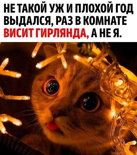 Фото загрузил Алёна
