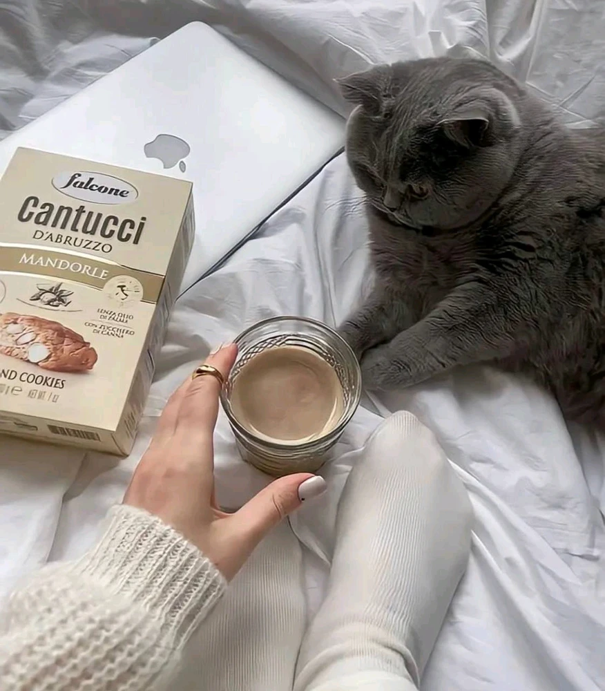 تصویر آپلود شده توسط Shell