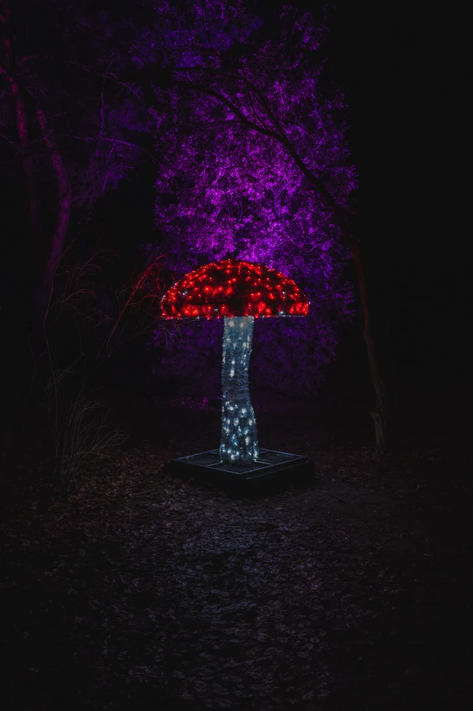 Image uploaded by Łukasz