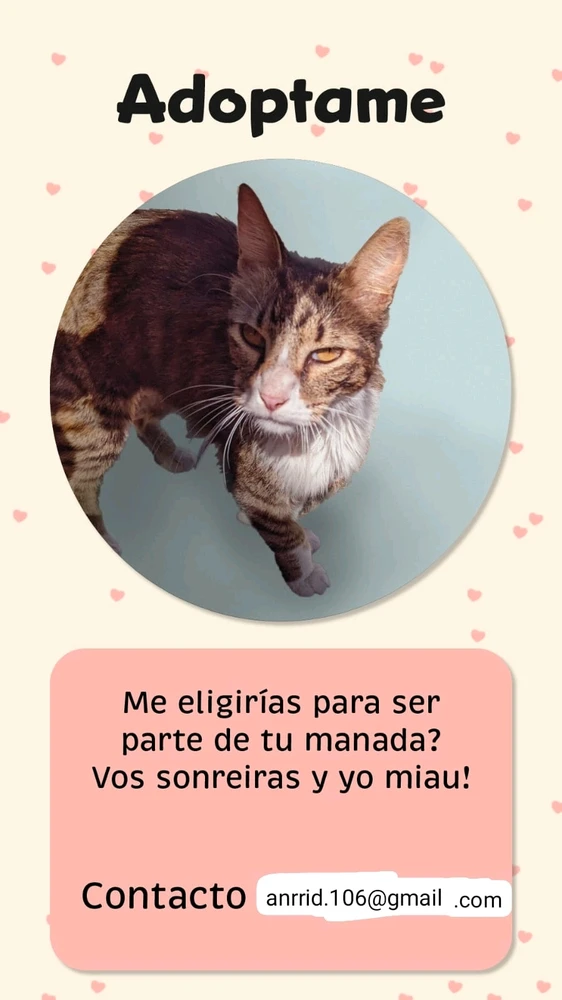 Imagen subida por Antonella