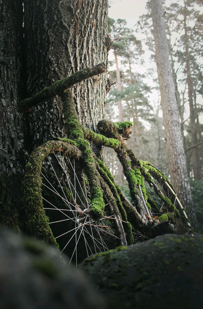 Nuotrauką įkėlė Mantas