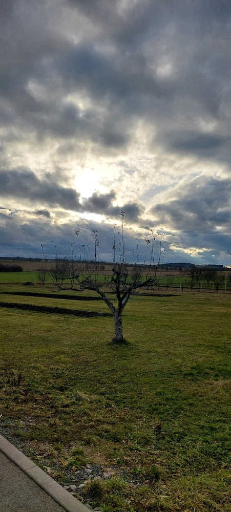 Obrázek nahrál Táňa