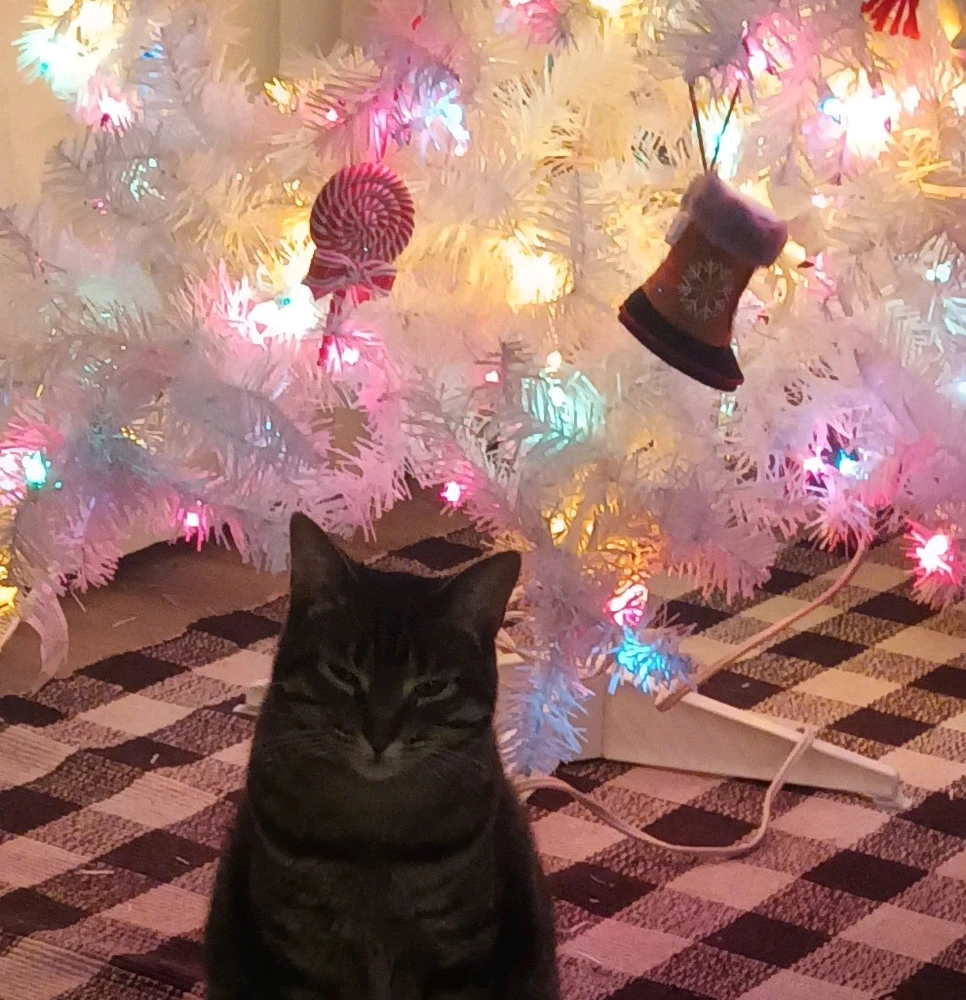 Image uploaded by Rob