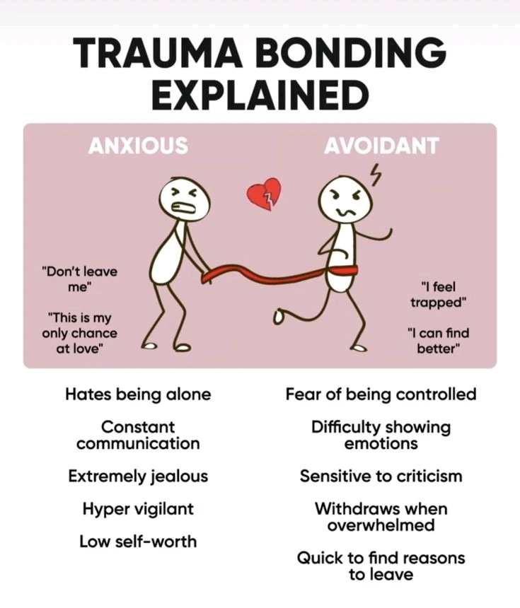 Image uploaded by Jerah 🌻