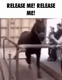 由Aubrey上传的图片