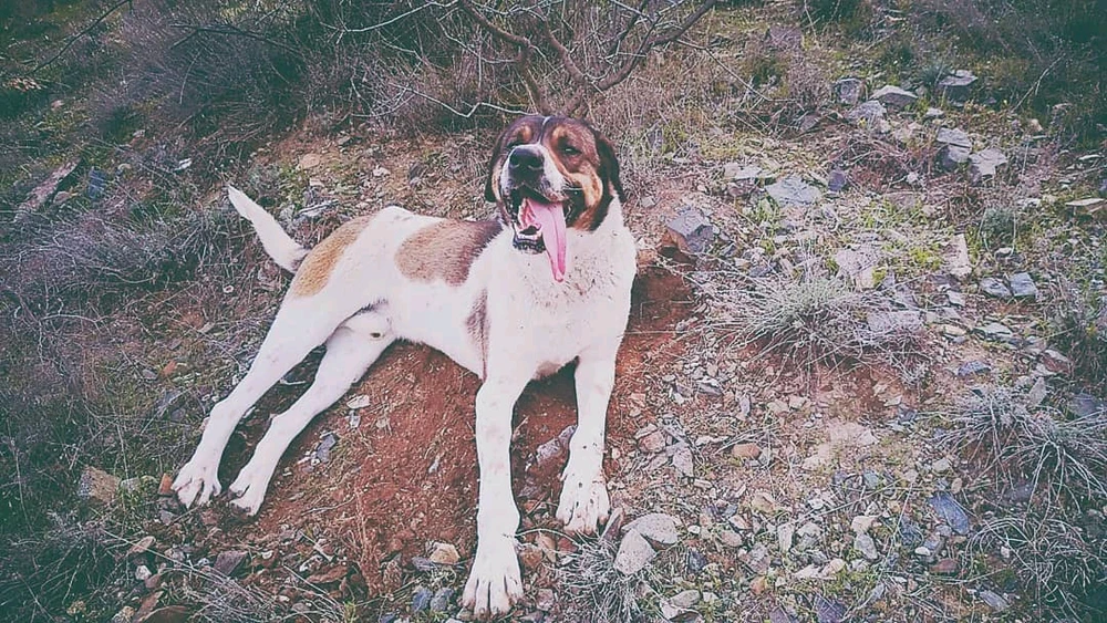 Фото загрузил Leo