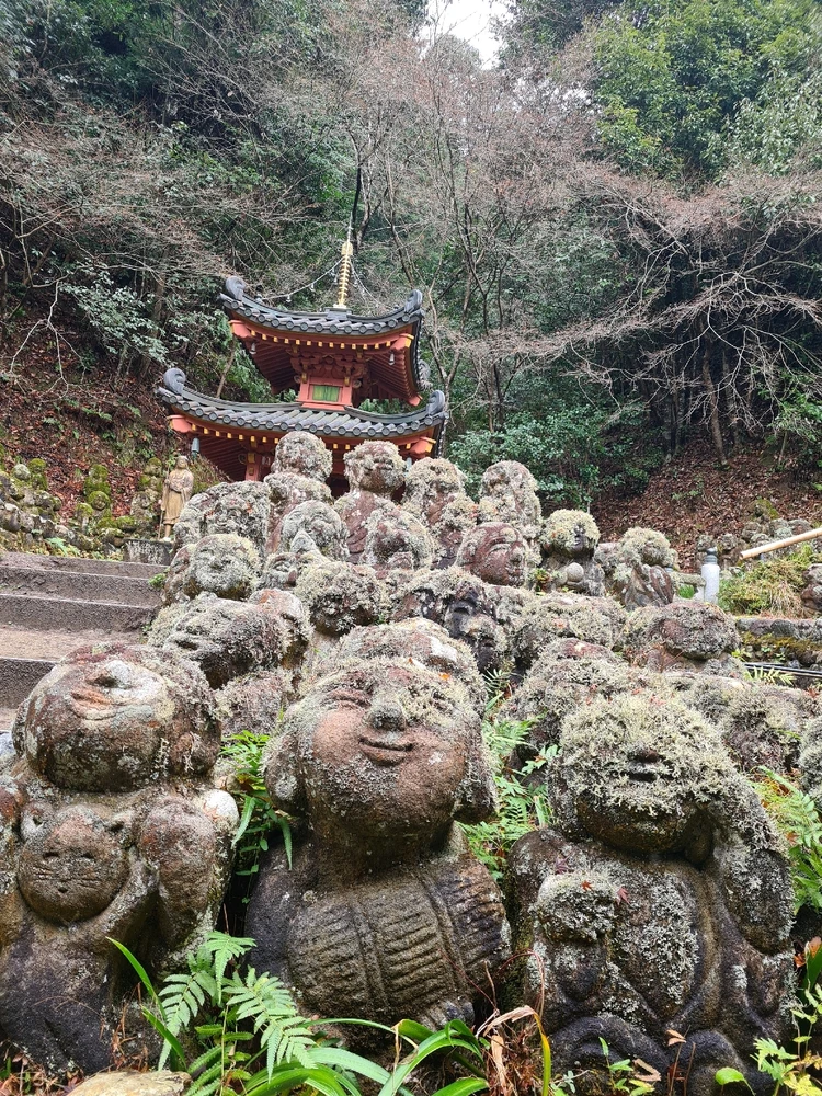 Image uploaded by A n y a