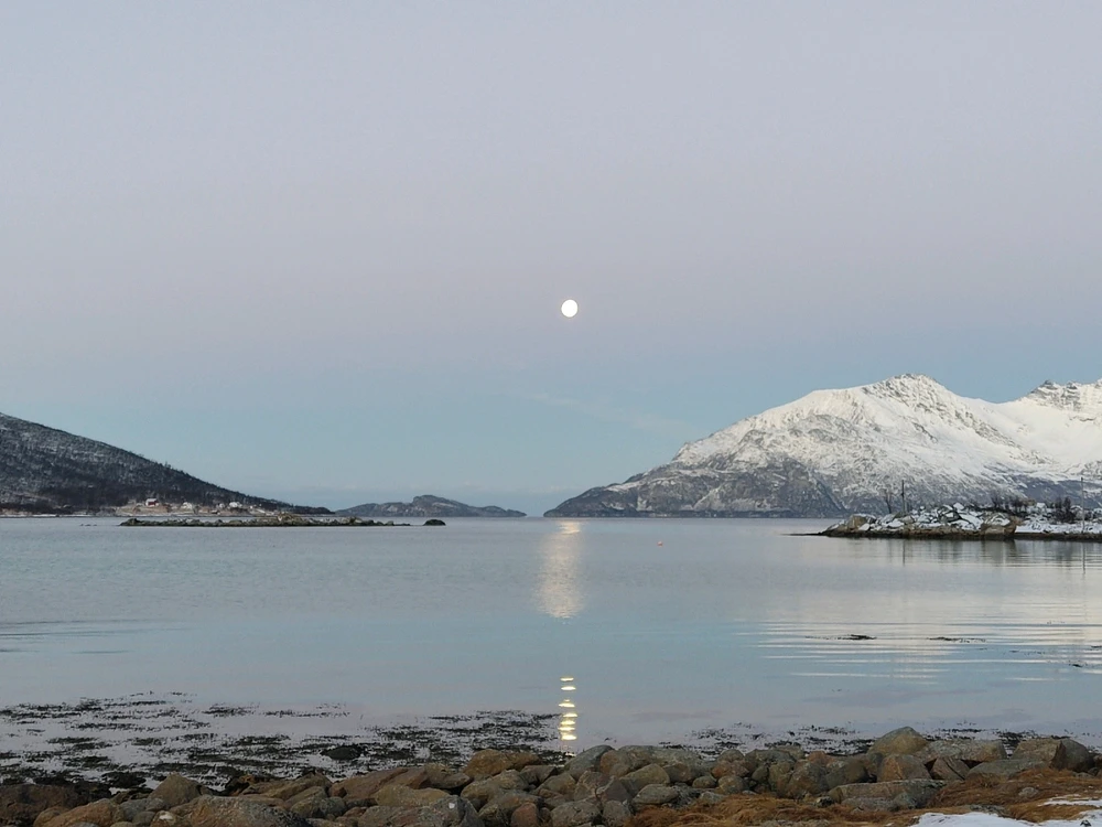 Image uploaded by Alberto