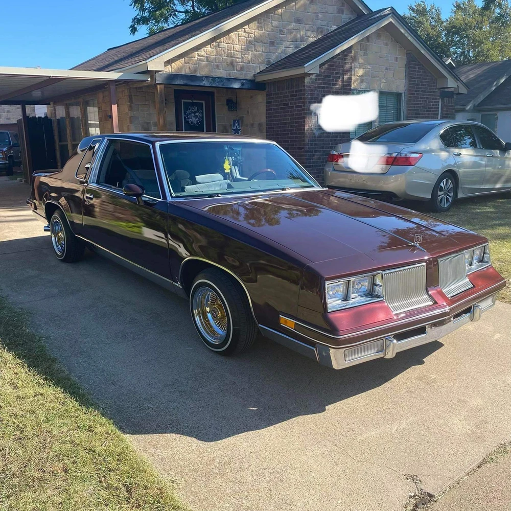 Image uploaded by Mike