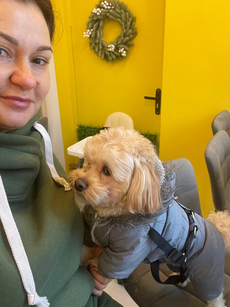 Фото загрузил Yulia