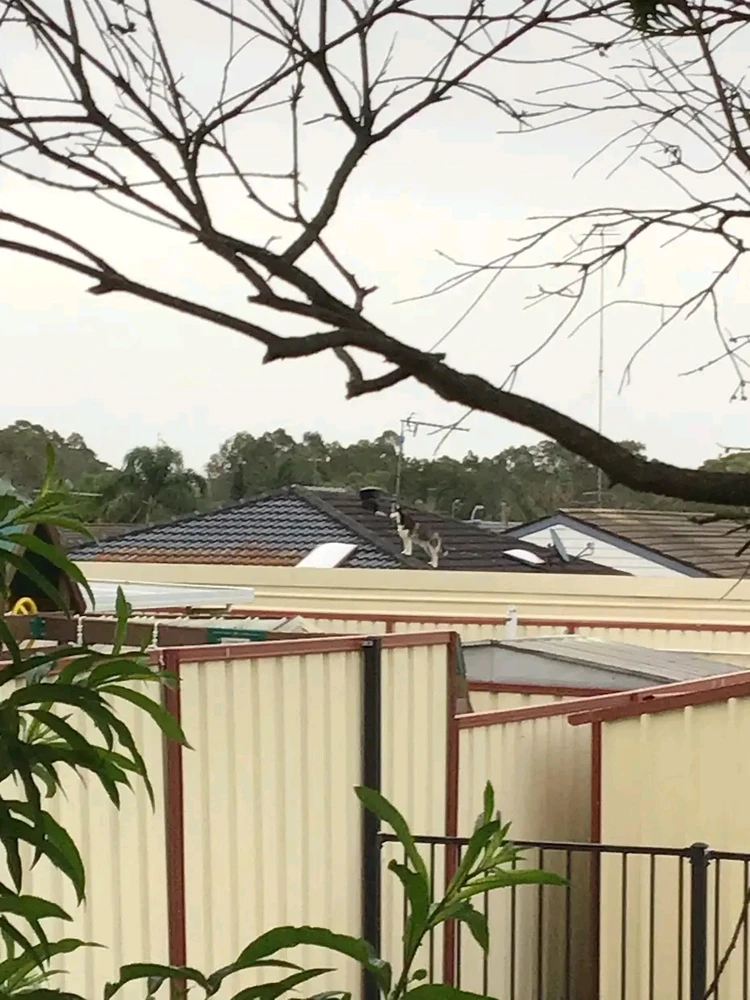 Image uploaded by Sarah