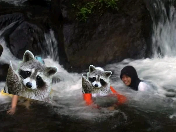 Image uploaded by Nares