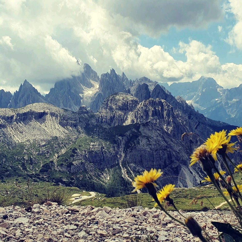 Image uploaded by Rodzerz7