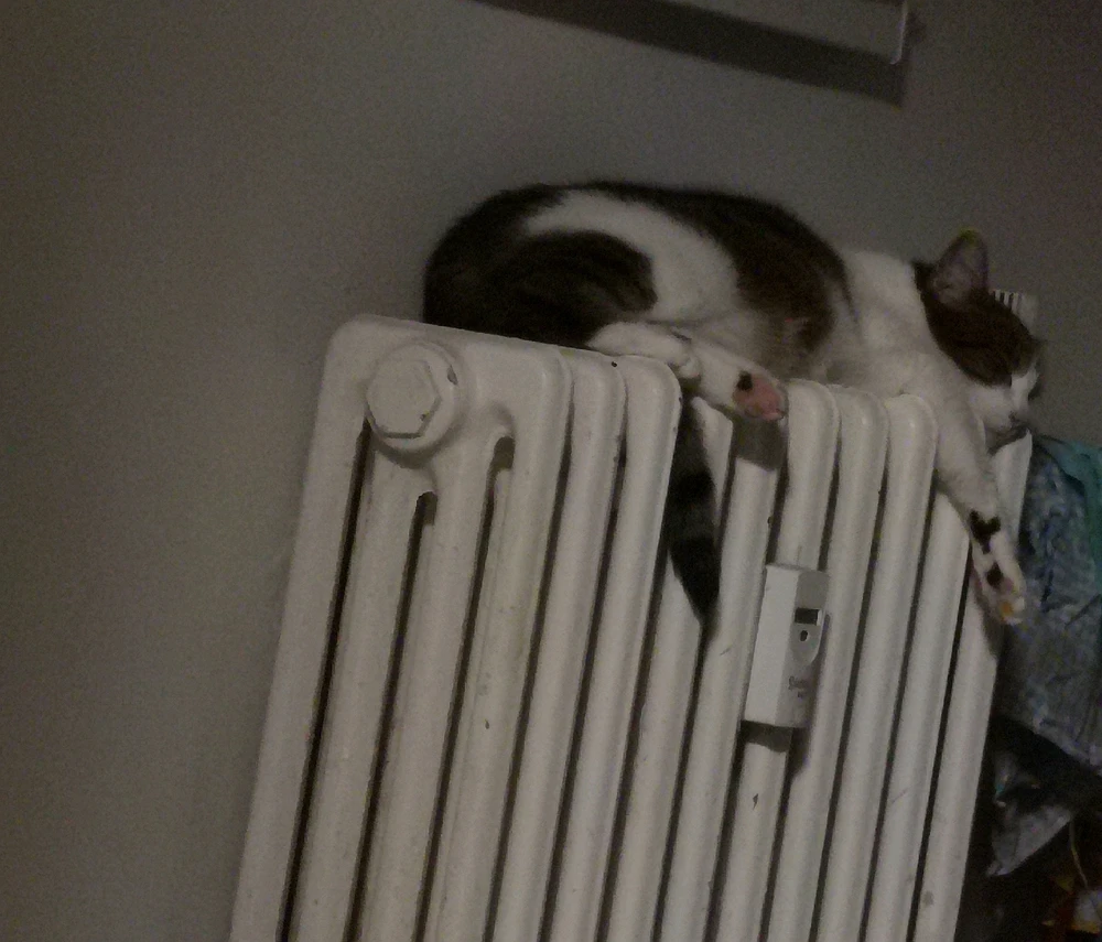 Obrázek nahrál Petr