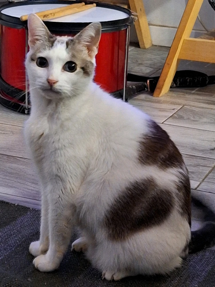 Imagem enviada por Luís