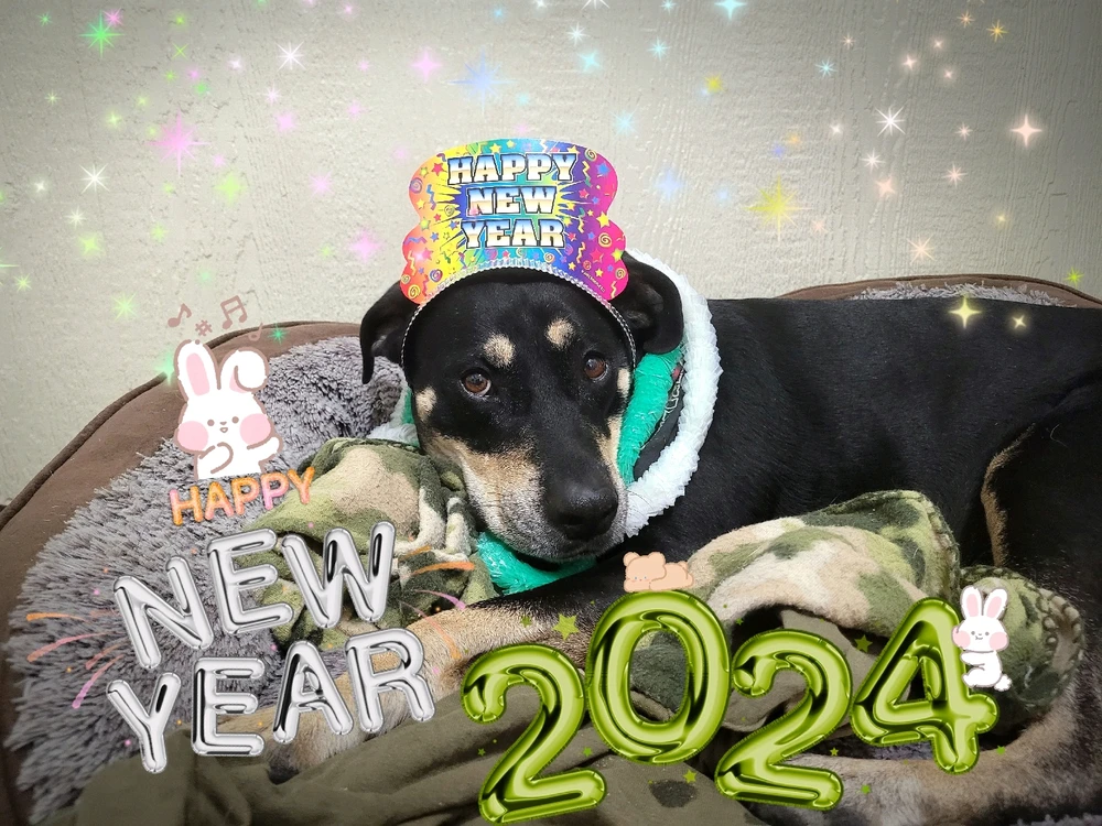 Image uploaded by Red